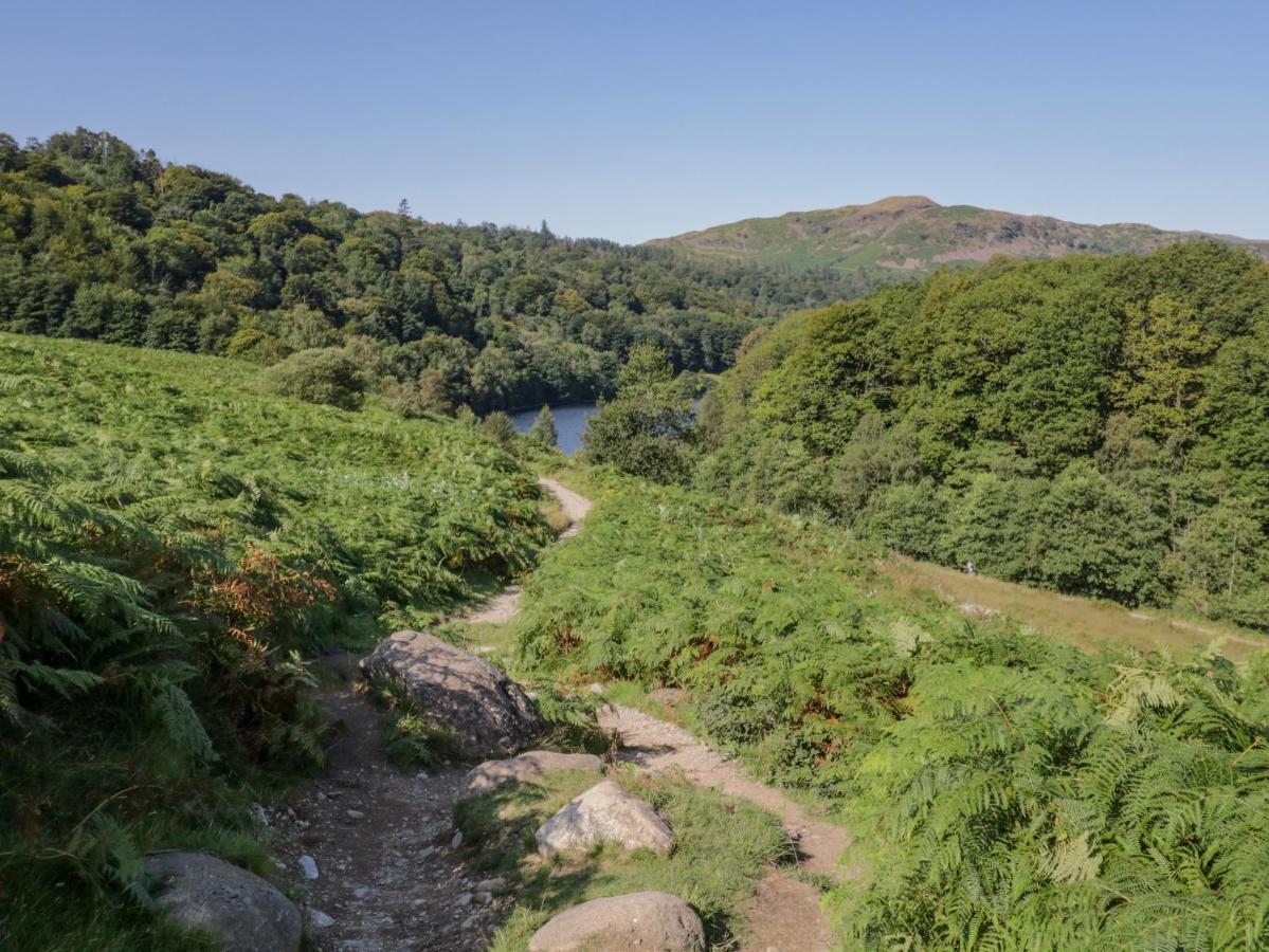25 Thirlmere Windermere Extérieur photo